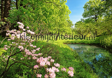 Park in the Spring fotobehang 00136 Ideal-Decor Poster Ideal Decor